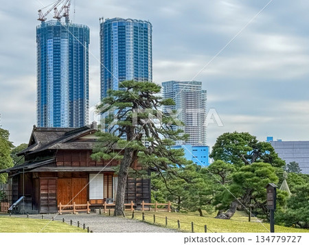 A traditional teahouse in Hamarikyu Gardens with skyscrapers under construction towering behind it. November 12, 2025, Chuo Ward, Tokyo 134779727