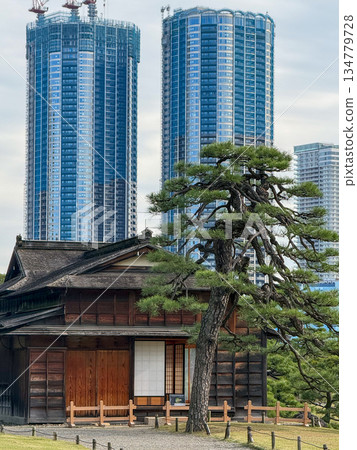 2025年11月12日,東京中央區,濱離宮庭園內一座傳統茶室,背後是正在興建中的摩天大樓。 2025年11月12日,東京中央區,濱離宮庭園內一座傳統茶室,背後是正在興建中的摩天大樓。 134779728