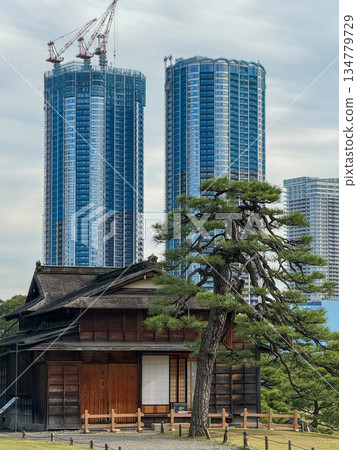 A traditional teahouse in Hamarikyu Gardens with skyscrapers under construction towering behind it. November 12, 2025, Chuo Ward, Tokyo A traditional teahouse in Hamarikyu Gardens with skyscrapers under construction towering behind it. November 12, 2025, Chuo Ward, Tokyo 134779729