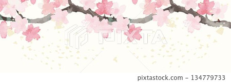 水彩櫻花枝條和飄落的花瓣橫幅邊框插圖背景留白設計素材 134779733
