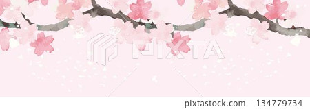 Watercolor cherry blossom branch and falling petals banner frame illustration background copy space design material 134779734