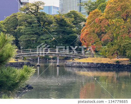 Autumnal scenery of a Japanese garden pond and wooden bridge 2025.11.12 Hamarikyu, Japan 134779885
