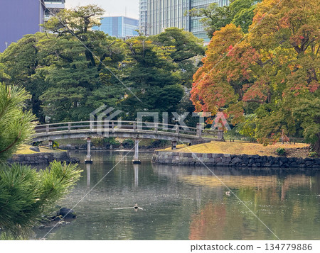 2025年11月12日,日本濱離宮,秋日式庭園池塘與木橋景色 2025年11月12日,日本濱離宮,秋日式庭園池塘與木橋景色 134779886