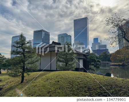 A Tokyo landscape where traditional teahouses and modern buildings coexist 2025.11.12 Hamarikyu, Japan 134779901