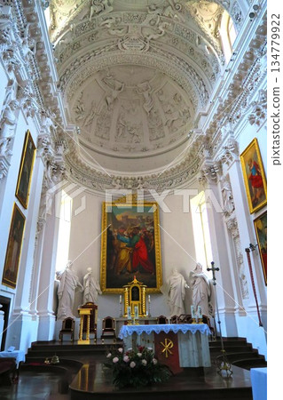 巴洛克冰封樂章：聖彼得與保羅教堂的灰泥雕塑 134779922