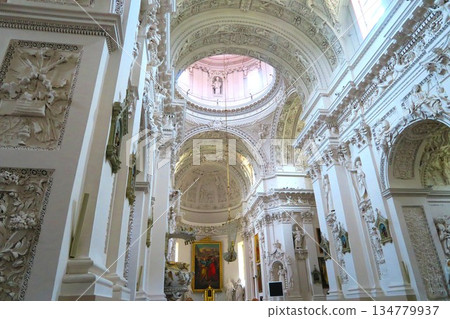 巴洛克冰封樂章：聖彼得與保羅教堂的灰泥雕塑 134779937