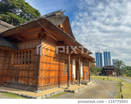 Traditional thatched roof buildings and skyscrapers under the autumn sky 2025.11.12 Hamarikyu, Japan Traditional thatched roof buildings and skyscrapers under the autumn sky 2025.11.12 Hamarikyu, Japan 134779983
