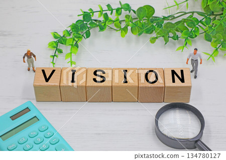一塊寫著「VISION」字樣的磚塊 一塊寫著「VISION」字樣的磚塊 134780127