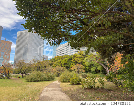 The grassy plaza and buildings of Hamarikyu, away from the hustle and bustle of the city. 2025.11.12 Hamarikyu, Japan 134780131
