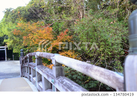 伊勢神宮內宮宇治橋與秋葉-2 134780419