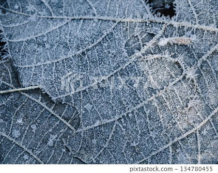Frost-covered fallen leaves on Mount Maya in December 134780455