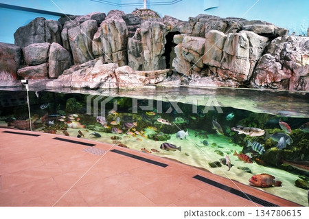 水族館風景 134780615