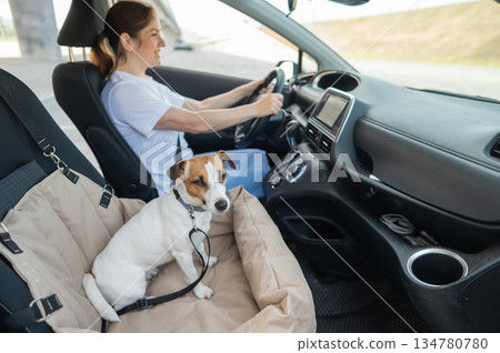 Caucasian woman travels by car with her dog. Jack Russell Terrier in a special car seat. Caucasian woman travels by car with her dog. Jack Russell Terrier in a special car seat. 134780780