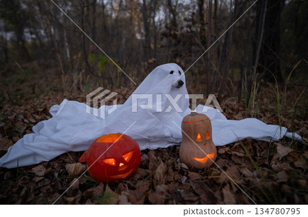Jack Russell Terrier dog in a ghost costume for Halloween in the woods. Jack Russell Terrier dog in a ghost costume for Halloween in the woods. 134780795
