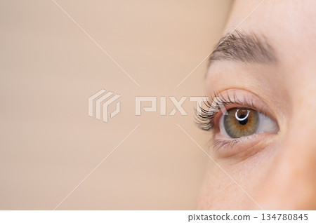 Close-up of a woman's eye after eyelash lamination procedure. Close-up of a woman's eye after eyelash lamination procedure. 134780845