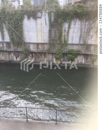 東京御茶水週邊風景 東京御茶水週邊風景 134780884