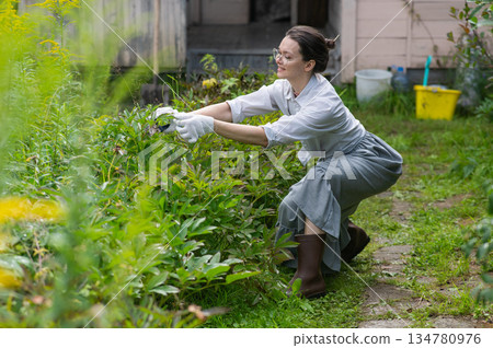 Young Caucasian woman trimming bushes. Young Caucasian woman trimming bushes. 134780976