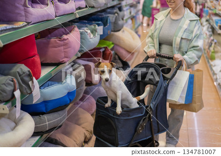 A woman is shopping at a pet store with her Jack Russell Terrier dog in a stroller. A woman is shopping at a pet store with her Jack Russell Terrier dog in a stroller. 134781007