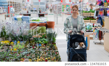A woman shops at a grocery store with her Jack Russell terrier dog in a stroller. 134781015