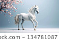 A modern 3D illustration of the Chinese zodiac sign for 2026, "horse." New Year's background/banner material featuring a galloping white, blue, and gold horse. A modern 3D illustration of the Chinese zodiac sign for 2026, "horse." New Year's background/banner material featuring a galloping white, blue, and gold horse. 134781087