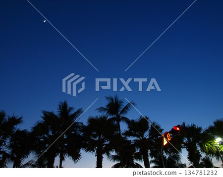 棕櫚樹、月亮和藍天 棕櫚樹、月亮和藍天 134781232
