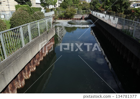 Koto Ward Yokojukengawa Water Park Koto Ward Yokojukengawa Water Park 134781377
