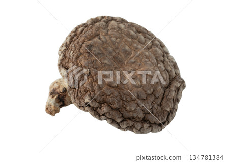 透明背景上的乾香菇（donko）（png） 134781384