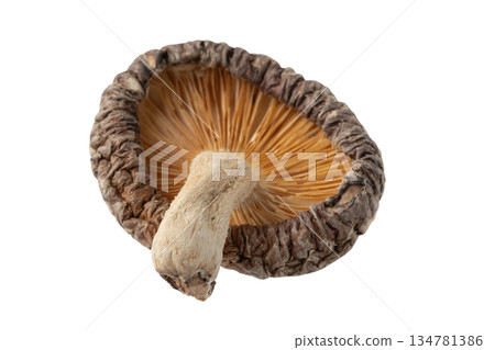 透明背景上的乾香菇(donko)(png) 透明背景上的乾香菇(donko)(png) 134781386