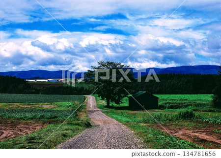 永遠的道路 134781656