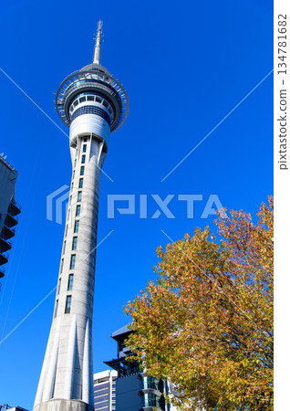紐西蘭奧克蘭天空塔的美景 紐西蘭奧克蘭天空塔的美景 134781682