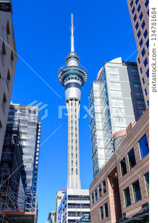 紐西蘭奧克蘭天空塔的美景 紐西蘭奧克蘭天空塔的美景 134781684