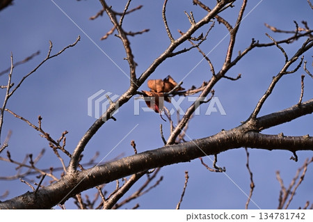 Winter image: Can also be used during recessions 134781742