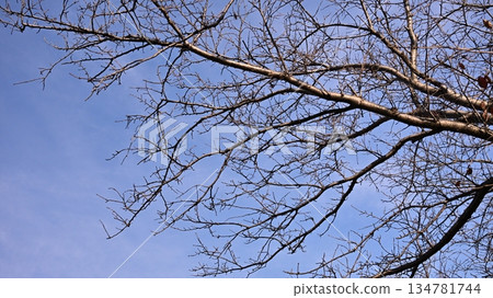 Winter image: Can also be used during recessions 134781744