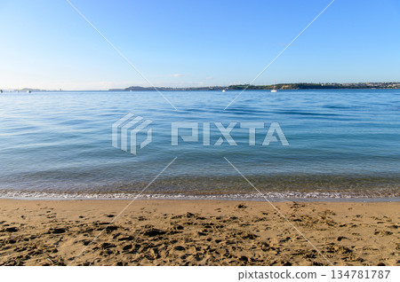 Beautiful scenery in Devonport, Auckland, New Zealand 134781787