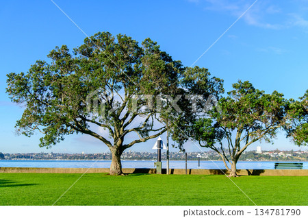 Beautiful scenery in Devonport, Auckland, New Zealand Beautiful scenery in Devonport, Auckland, New Zealand 134781790