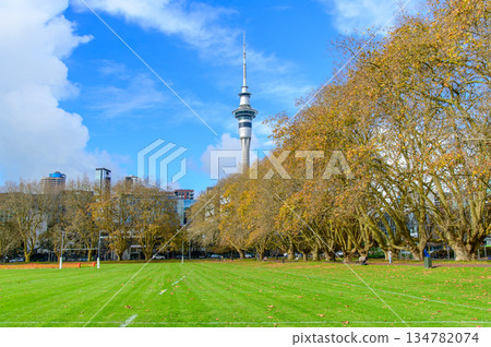 Beautiful scenery of Victoria Park in Auckland, New Zealand Beautiful scenery of Victoria Park in Auckland, New Zealand 134782074