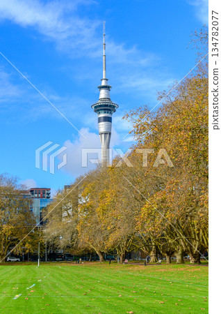 紐西蘭奧克蘭維多利亞公園的美景 紐西蘭奧克蘭維多利亞公園的美景 134782077