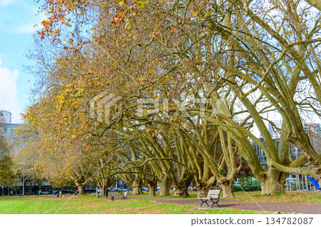 紐西蘭奧克蘭維多利亞公園的美景 紐西蘭奧克蘭維多利亞公園的美景 134782087