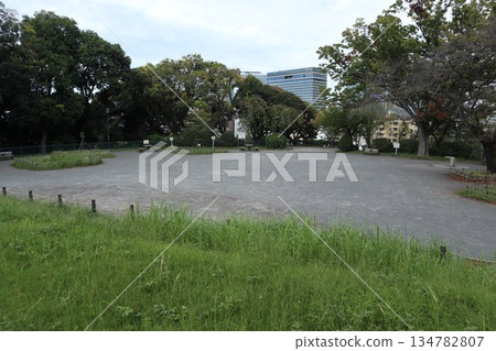 櫻木町羽根山公園 櫻木町羽根山公園 134782807