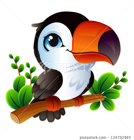 happy bright toucan tropical summer bird happy bright toucan tropical summer bird 134782965