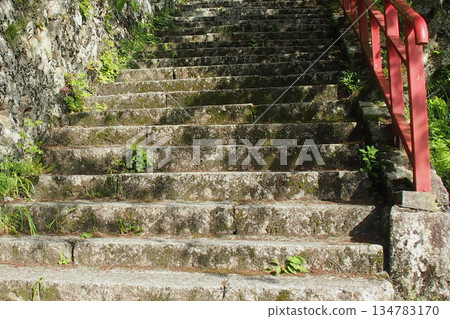 Stone steps that change with the seasons, a path that connects the past and the future Stone steps that change with the seasons, a path that connects the past and the future 134783170