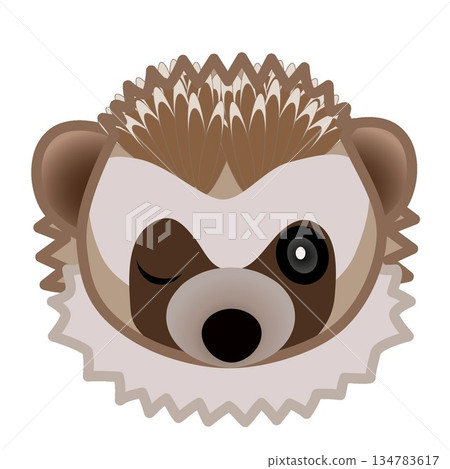 刺蝟臉部插圖 134783617