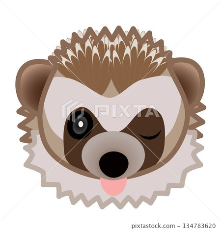 刺蝟臉部插圖 刺蝟臉部插圖 134783620