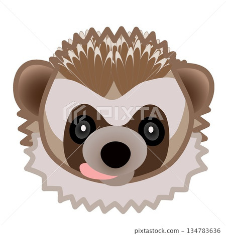 刺蝟臉部插圖 134783636
