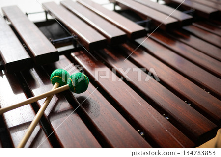 馬林巴琴與綠色木槌 134783853