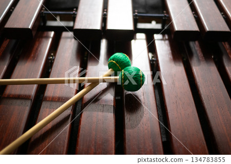 馬林巴琴與綠色木槌 馬林巴琴與綠色木槌 134783855