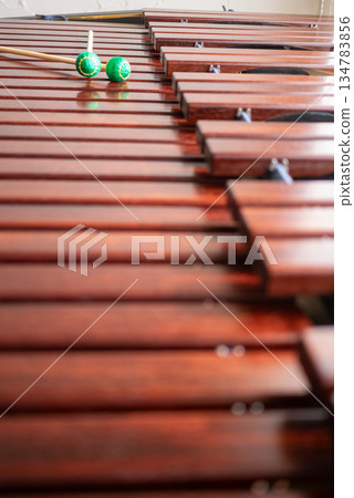 馬林巴琴與綠色木槌 134783856