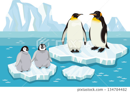 Emperor penguin and chick on ice with background 134784482