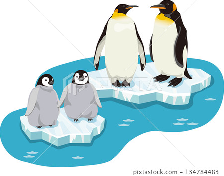 Emperor penguin and chick on ice 134784483