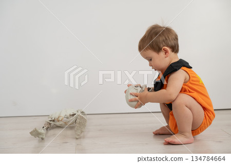 Cute Caucasian boy in pumpkin costume for Halloween.  134784664